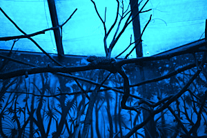 Eine gute Nacht im Nocturama