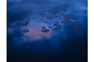Dans les méandres