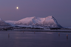 Demut