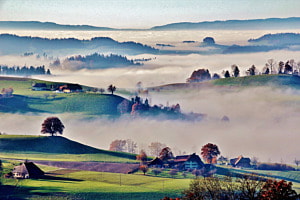 Nebelhügel