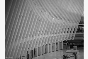 Marmor Linien NY