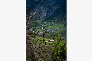 Birgisch