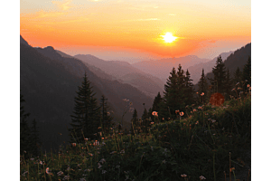 In den Alpen
