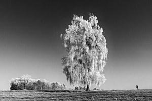 Einsam