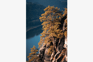 Elbblick