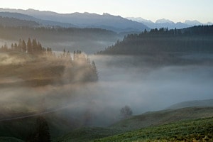 Emmental