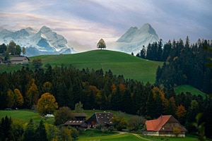 Emmental