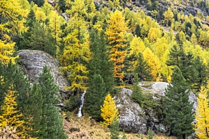 Engadin im Goldrausch