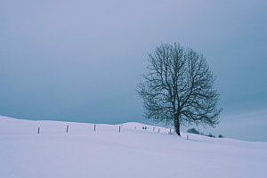 Winterstimmung