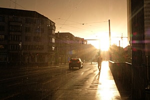 Sunny Rain