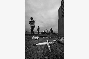 Fishing in Veracruz Mexico_3