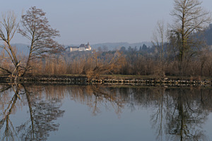Flusslandschaft bei Erlach