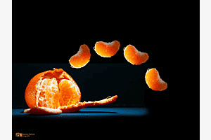 Flying Mandarin