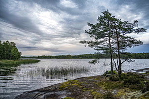 Föhren am See