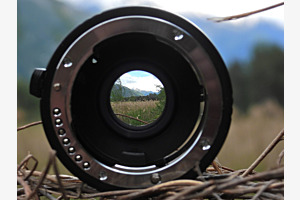 Focus Landscape