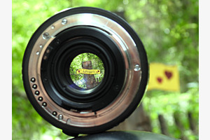 Focus Favorite Place