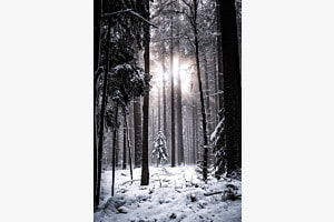 Light