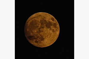 Mond