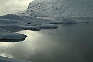 Gegenlicht