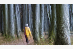Geisterwald