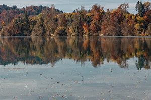 Wohlensee im Herbst 