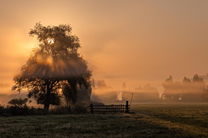 Herbstmorgen