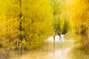 Herbstwald