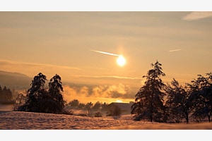 Snowy morning