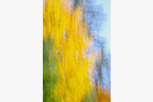 Goldener Herbst
