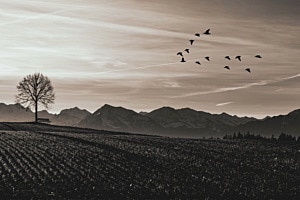 Stille Ruhe Meditieren 
