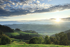 Morgenlicht