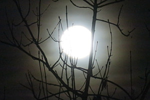 Weihnachtsabend 2015