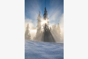 Winter Wonderland