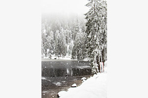 Mummelsee
