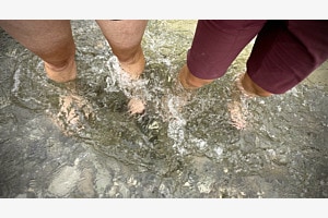 Im Wasser kühlen