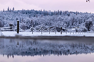 Winterreflektion 
