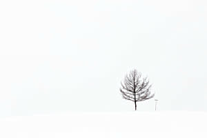 Winterstille