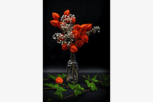Blasenkirschen-Bouquet