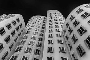 Frank Gehry Frank Gehry