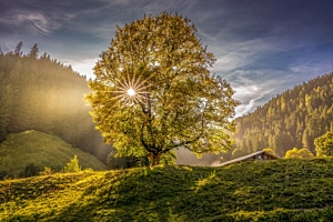 Herbst in den Bergen 