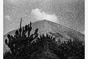 T wie Teotihuacán, 2023
