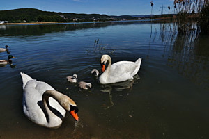 Klingnauer Stausee