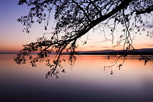 Couché de soleil sur le lac Léman