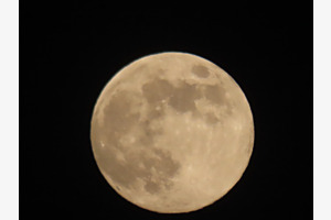  Gelber Mond