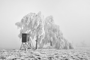 Stille 