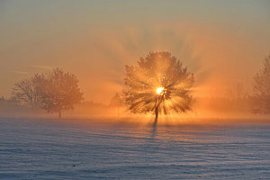Wintersonne 