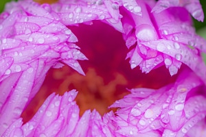 After rain 