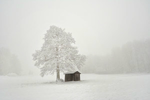 Stille 
