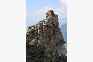 The Monk