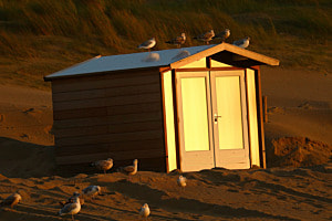 Badebude im Sonnenuntergang (Texel)